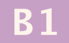 B1